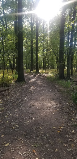 Park «Conant Park», reviews and photos, 310 Conant St, Hillside, NJ 07205, USA