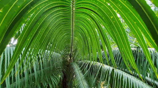 Zoo «Como Park Zoo & Conservatory», reviews and photos, 1225 Estabrook Dr, St Paul, MN 55103, USA