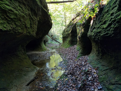 Campground «Fallen Rock Park Restaurant», reviews and photos, 8816 Fallen Rock Rd, Brazil, IN 47834, USA