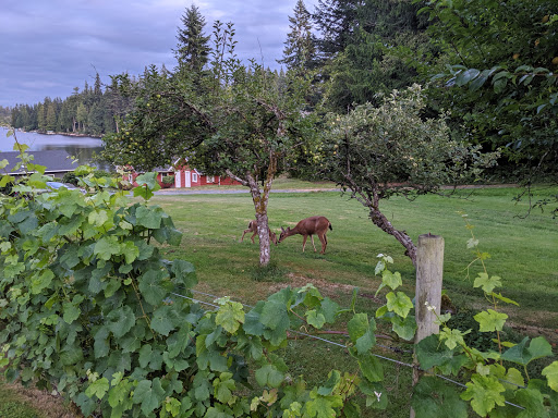 Wedding Venue «Green Gates At Flowing Lake», reviews and photos, 4919 175th Ave SE, Snohomish, WA 98290, USA