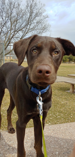 Recreation Center «North Dale Recreation Center», reviews and photos, 1414 St Albans St N, St Paul, MN 55117, USA