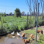 Photo n°4 de l'avis de Mario.a fait le 18/04/2022 à 17:31 sur le  CLUB LA TAVERNETTA DI MASSIMO à Gromola
