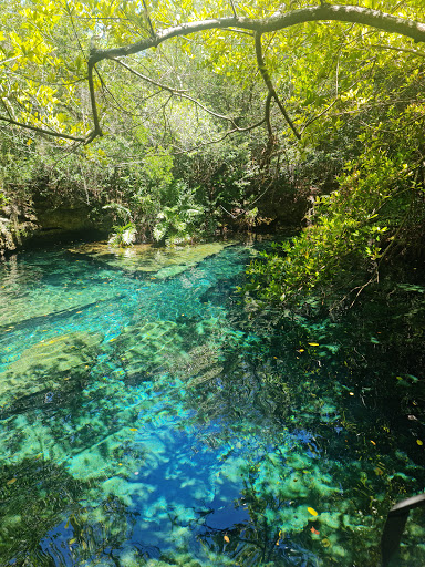 Indigenous Eyes Ecological Reserve