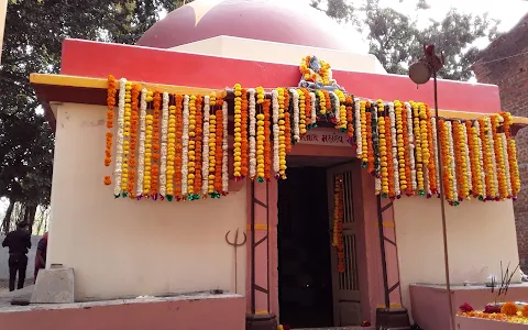 Mahadev Temple - Anand image