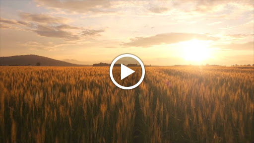 1341 H St NE, Washington, DC 20002, USA