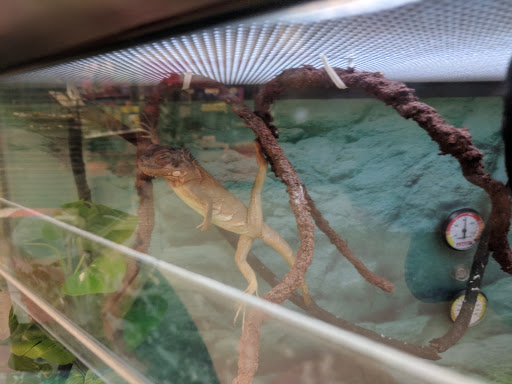 Pet Supply Store «Petco Animal Supplies», reviews and photos, 1201 E Washington Ave, Union Gap, WA 98903, USA