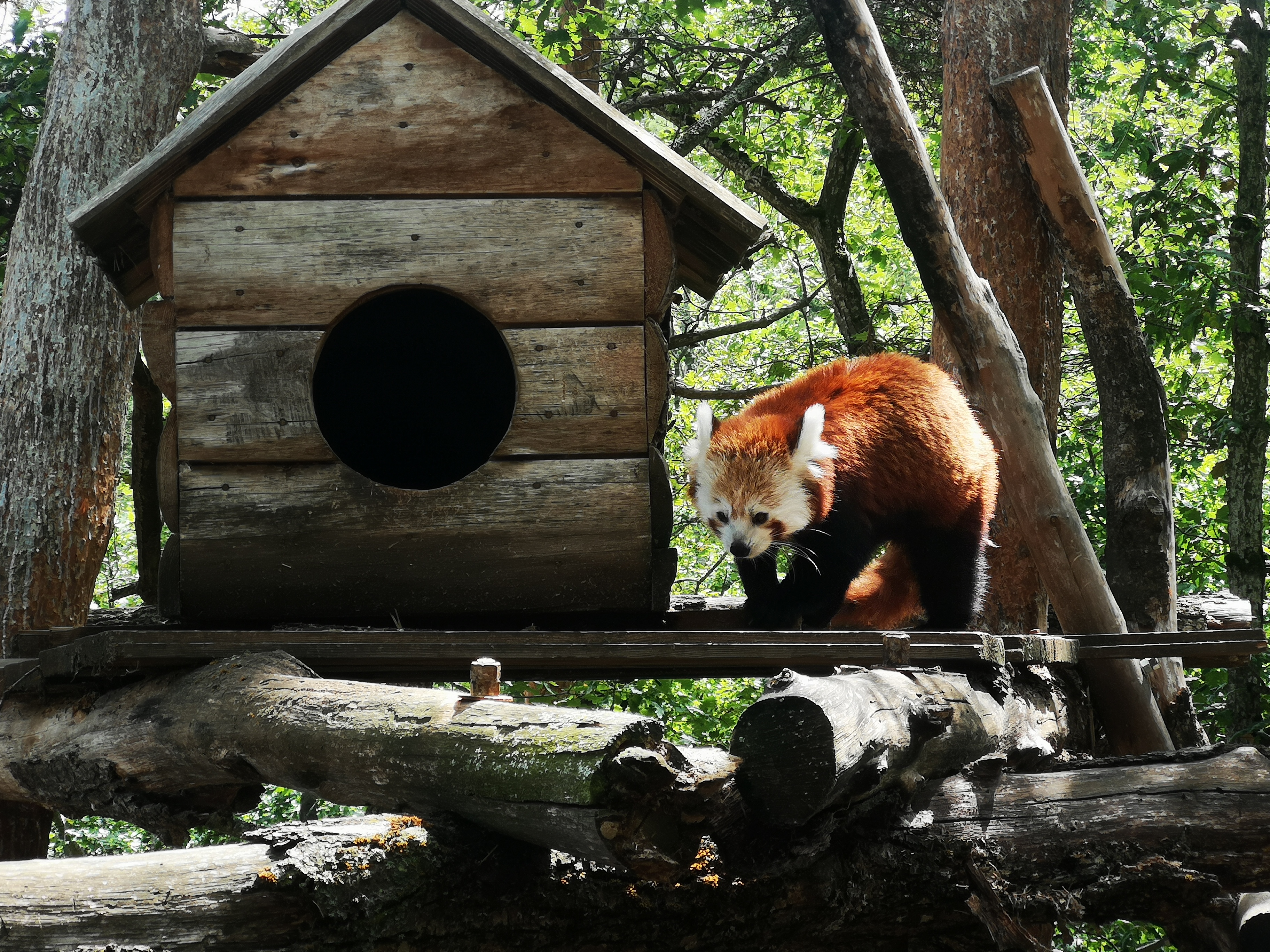Photo n° 3 de l'avis de Stephanie.a fait le 16/08/2019 à 20:29