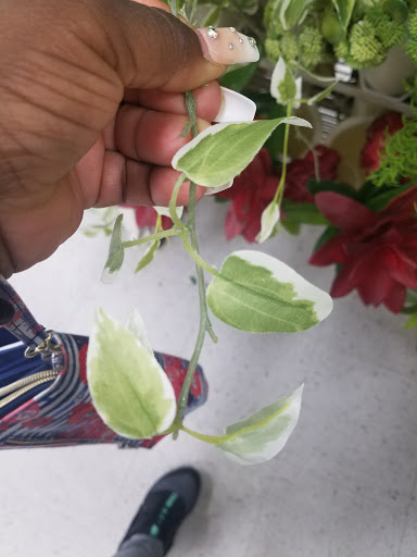 Craft Store «Michaels», reviews and photos, 12100 Lakewood Blvd, Downey, CA 90242, USA