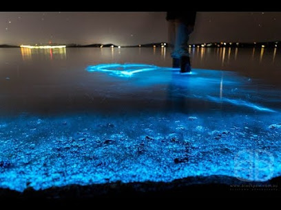 Baño nocturno con plancton en la laguna azul