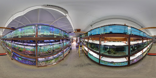 Pet Store «Forest Lake Pets», reviews and photos, 120 Lake St N, Forest Lake, MN 55025, USA