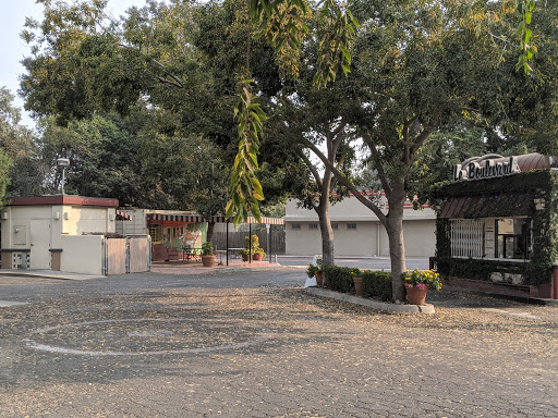 Coffee Shop «Le Boulevard», reviews and photos, 520 S Mooney Blvd, Visalia, CA 93277, USA