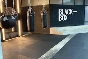 Black Box San Pedro image