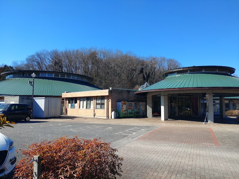 村山温泉 かたくりの湯