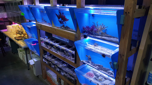 Tropical Fish Store «Elite Reef», reviews and photos, 8410 Wadsworth Blvd F, Arvada, CO 80003, USA