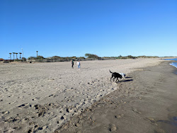 Serignan Plage'in fotoğrafı imkanlar alanı