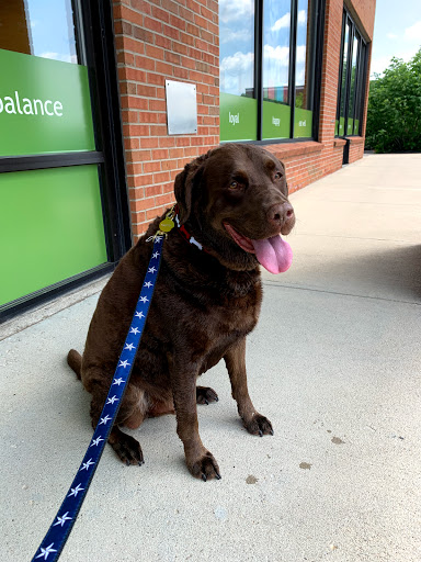 Pet Supply Store «PetPeople», reviews and photos, 7341 Tylers Corners Dr, West Chester Township, OH 45069, USA