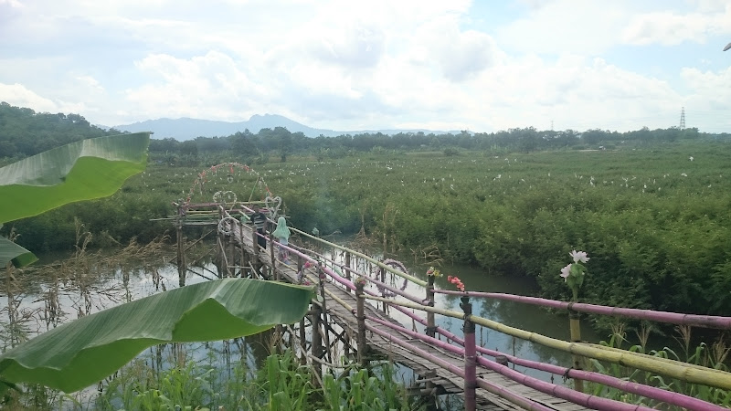 Kebun Binatang di Kabupaten Sukoharjo: Menikmati Keindahan Blekoan check dan Rumah peloh