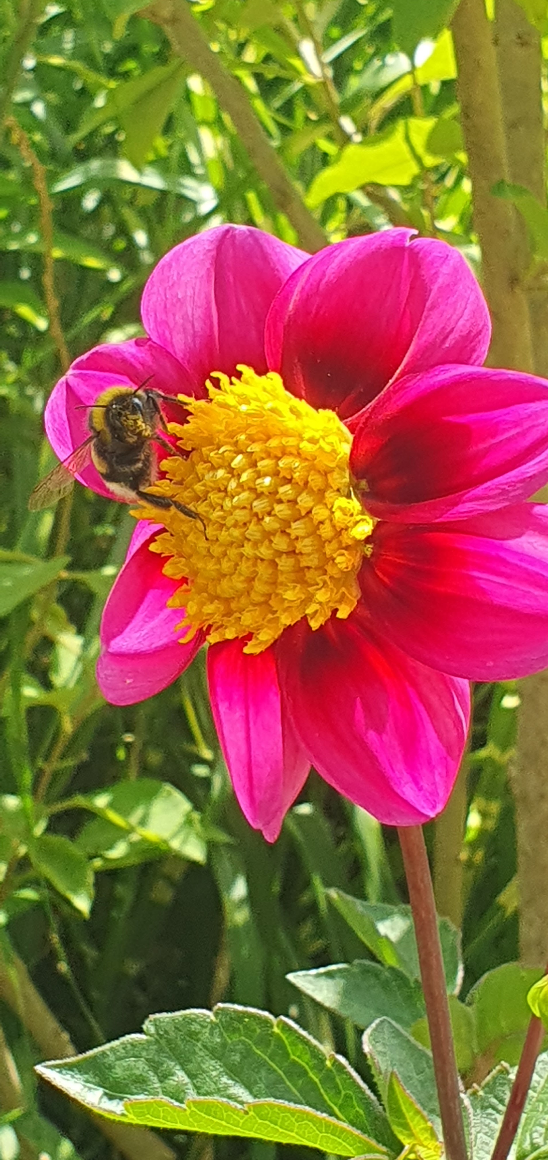Photo n° 10 de l'avis de Jean-Marie.a fait le 31/07/2023 à 09:08