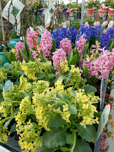 Home Improvement Store «Grange Co-op», reviews and photos, 1262 Stabler Ln, Yuba City, CA 95993, USA