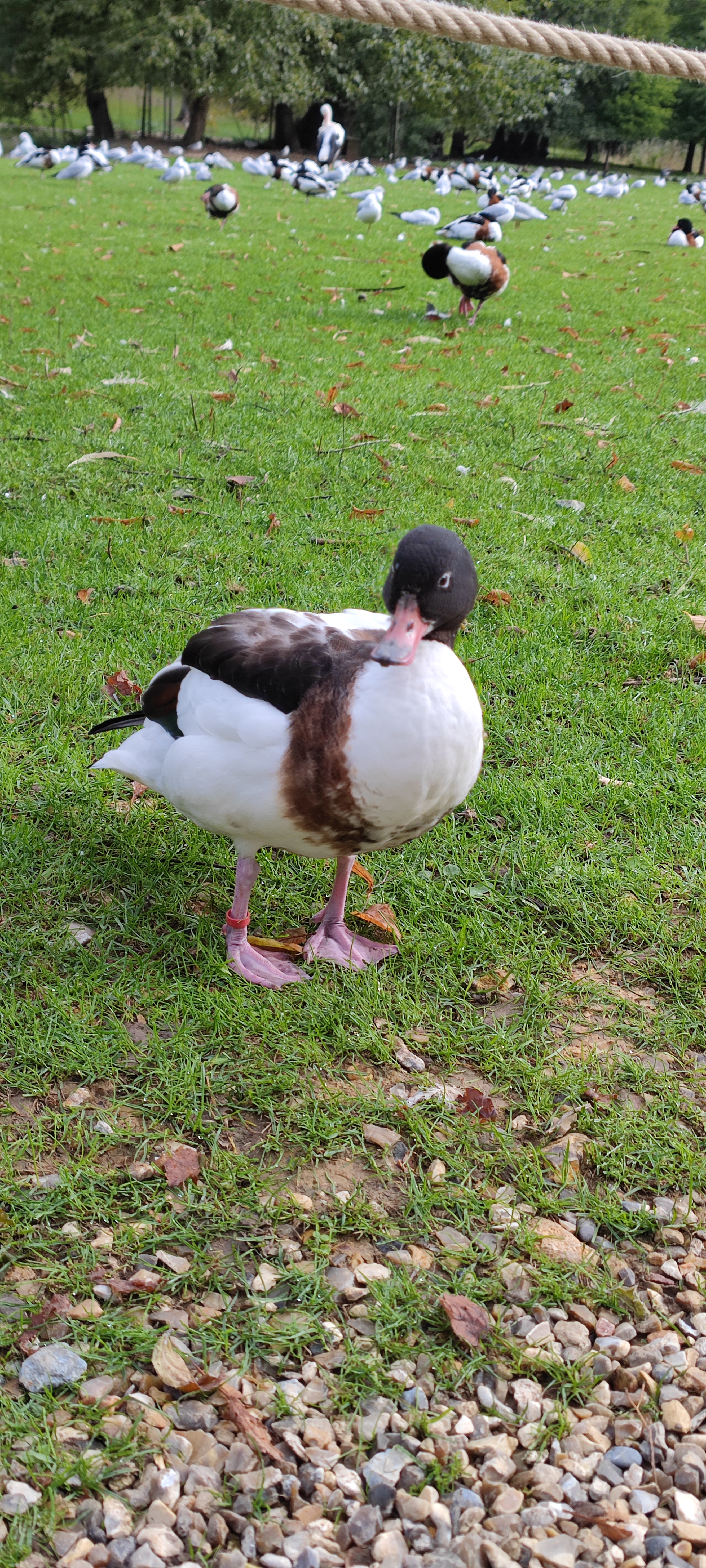 Photo n° 2 de l'avis de Julien.o fait le 27/09/2022 à 11:51