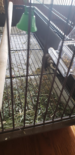 Pet Supply Store «PetSmart», reviews and photos, 3601 Rib Mountain Dr, Wausau, WI 54401, USA