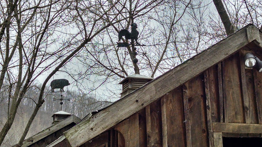 Hiking Area «The Pratt Center», reviews and photos, 163 Paper Mill Rd, New Milford, CT 06776, USA