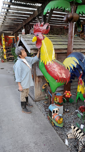 Gift Shop «Alladin Nursery & Gift Shop», reviews and photos, 2905 Freedom Blvd, Watsonville, CA 95076, USA