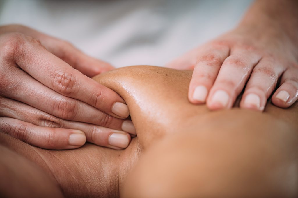 Elephant and Owl- Massage Therapy and Holistic Wellness 04605