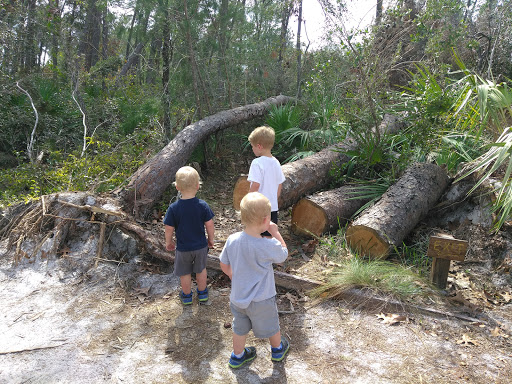 Community Center «Palm Bay Community Center», reviews and photos, 1502 Port Malabar Blvd NE, Palm Bay, FL 32905, USA