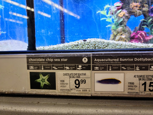 Pet Supply Store «Petco Animal Supplies», reviews and photos, 1704 US Hwy 27 S, Sebring, FL 33870, USA