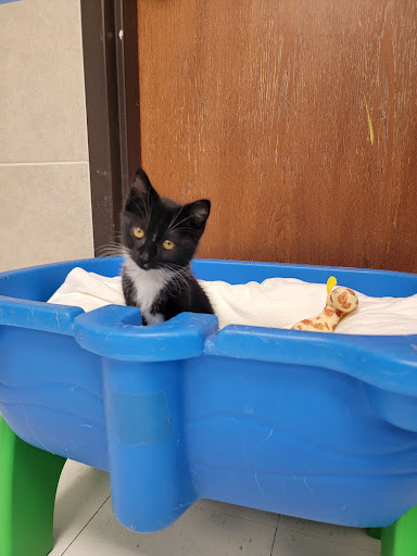 Animal Shelter «The Humane Society of Greater Kansas City», reviews and photos