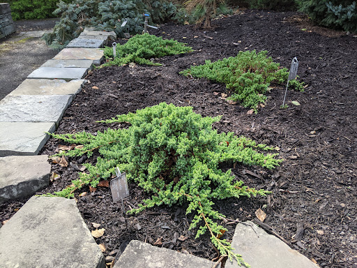 Ice Cream Shop «Cornell Dairy Bar», reviews and photos, 411 Tower Rd, Ithaca, NY 14853, USA