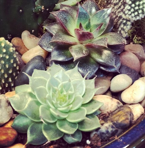 Florist «Hilldale Florist», reviews and photos, 1946 Madison St, Clarksville, TN 37043, USA