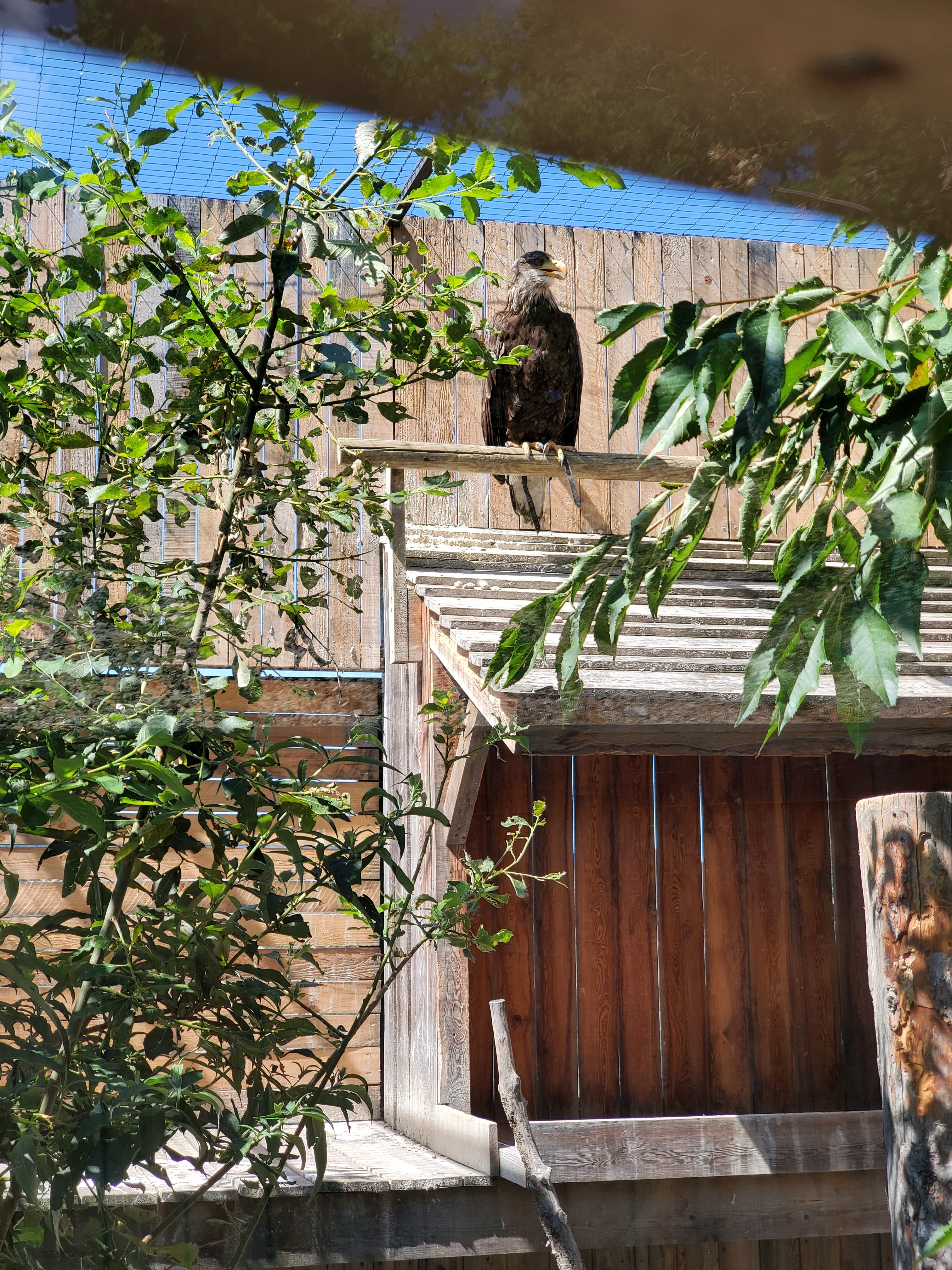 Photo n° 5 de l'avis de Lynda.e fait le 15/08/2023 à 10:47