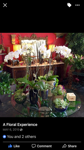 Florist «A Floral Experience», reviews and photos, 5457 N MacArthur Blvd, Irving, TX 75038, USA