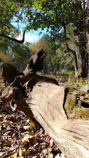 Weinberg Nature Center - photo 31