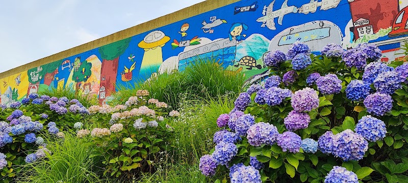 紫陽花と市政１００周年の塀