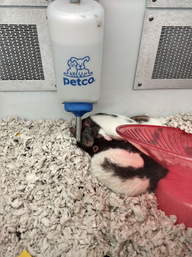 Pet Supply Store «Petco Animal Supplies», reviews and photos, 12014 SW 88th St, Miami, FL 33186, USA