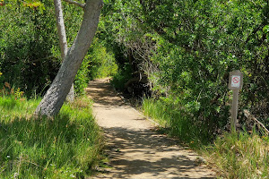 Upper Newport Bay Nature Preserve