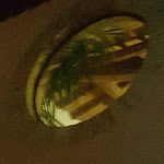 Photo n°7 de l'avis de federica.i fait le 05/06/2018 à 05:00 sur le  Relais San Clemente à Bosco