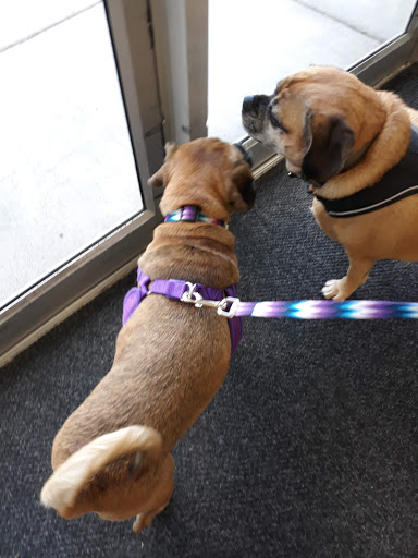 Pet Supply Store «Pet Supplies Plus», reviews and photos, 5557 Durand Ave, Racine, WI 53406, USA