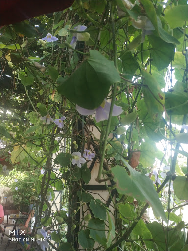 Top 20 cửa hàng trà sữa Huyện Quảng Điền Thừa Thiên Huế 2022