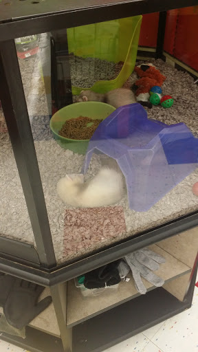 Pet Supply Store «Petco Animal Supplies», reviews and photos, 10383 Reisterstown Rd, Owings Mills, MD 21117, USA
