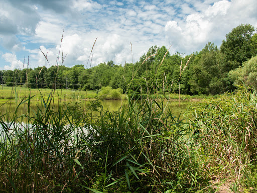 Nature Preserve «Teetertown Ravine Nature Preserve», reviews and photos, 30 Pleasant Grove Rd, Port Murray, NJ 07865, USA