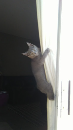 Pet Store «Pet Pals Discount Pet Foods & Supplies», reviews and photos, 3660 Soquel Dr, Soquel, CA 95073, USA