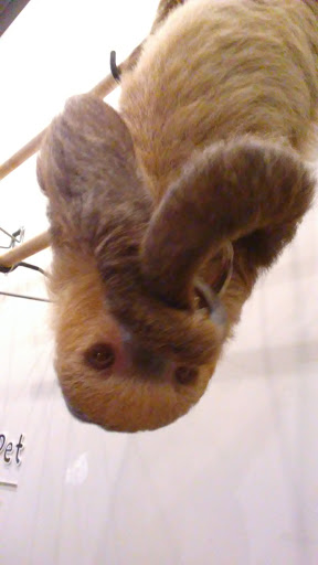 Pet Supply Store «EarthWise Pet Supply - Flower Mound», reviews and photos, 2311 Cross Timbers Rd #307, Flower Mound, TX 75028, USA