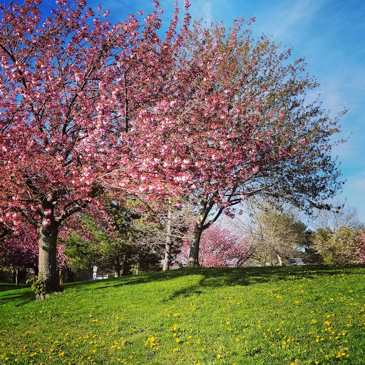 State Park «Webb Memorial State Park», reviews and photos, 371 River St, North Weymouth, MA 02191, USA