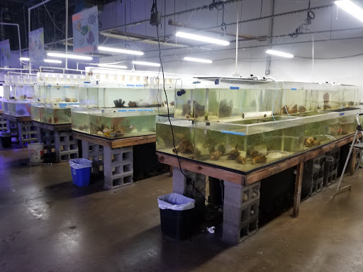Tropical Fish Store «The Fish Store», reviews and photos, 2050 Chamblee Tucker Rd, Chamblee, GA 30341, USA