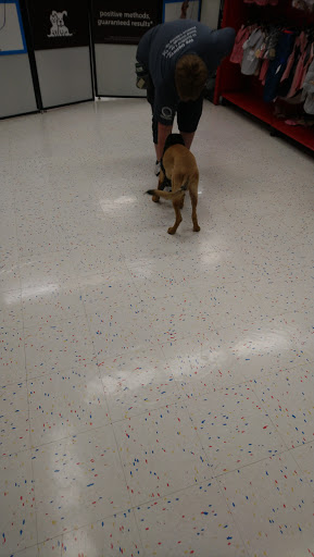 Pet Supply Store «Petco Animal Supplies», reviews and photos, 960 Del Monte Center, Monterey, CA 93940, USA