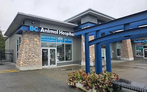 BC Animal Hospital image